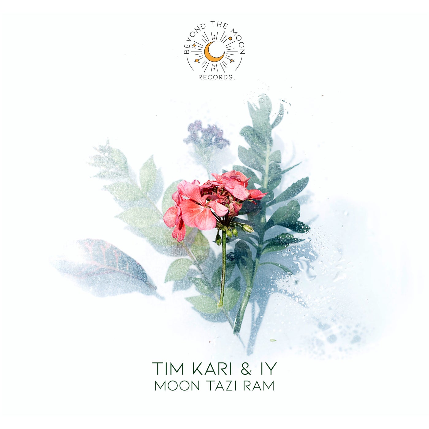 Tim Kari, IY – MOON Tazi RAM [BTM004]